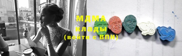 индика Саяногорск