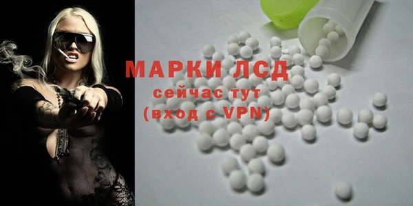 индика Саяногорск